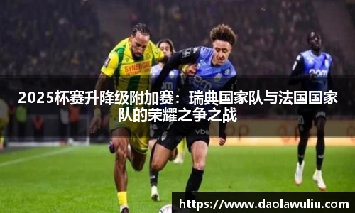 2025杯赛升降级附加赛：瑞典国家队与法国国家队的荣耀之争之战