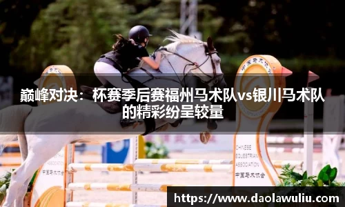 巅峰对决：杯赛季后赛福州马术队vs银川马术队的精彩纷呈较量