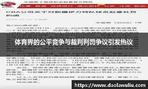 体育界的公平竞争与裁判判罚争议引发热议