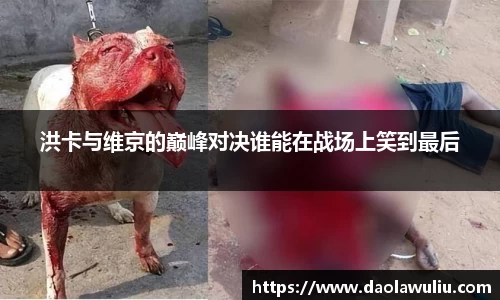 洪卡与维京的巅峰对决谁能在战场上笑到最后
